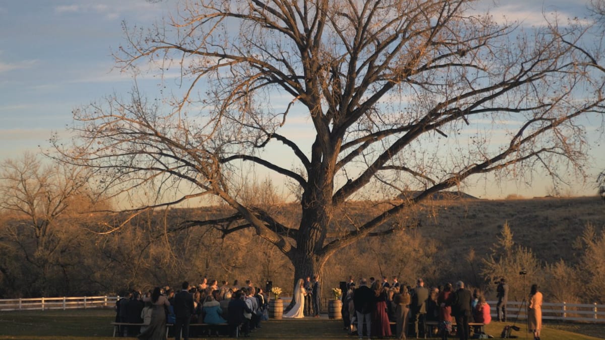 Custom Montana wedding film preview for an emotional couple story