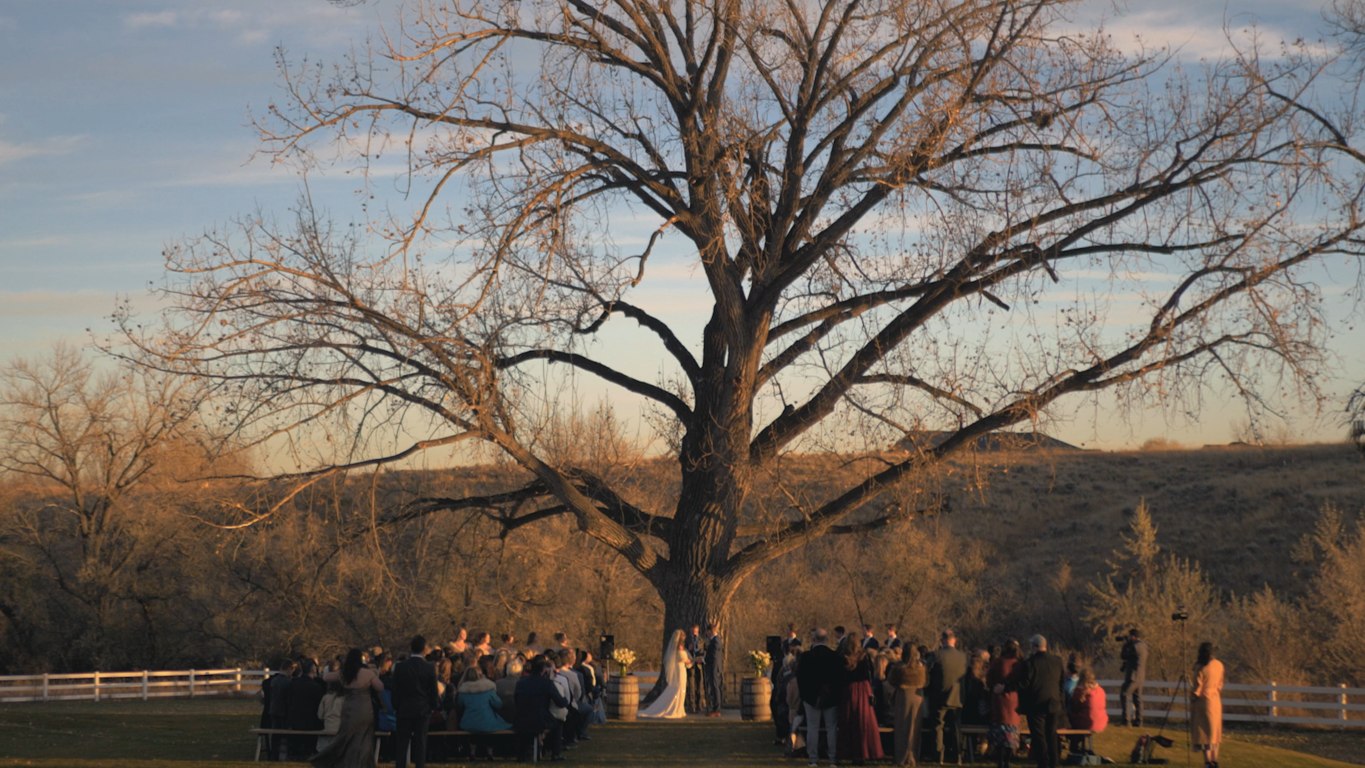 Signature photo and video wedding coverage